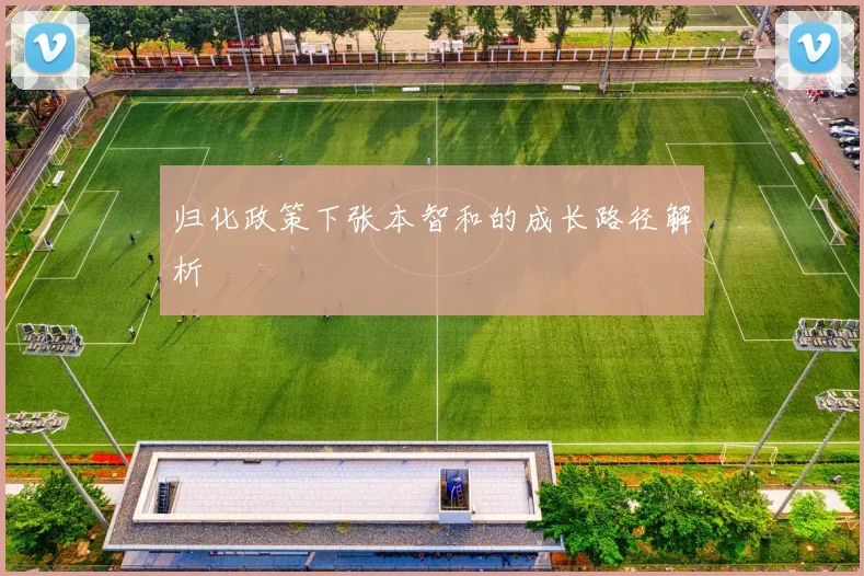 归化政策下张本智和的成长路径解析