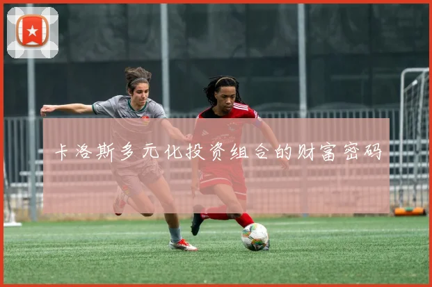 卡洛斯多元化投资组合的财富密码