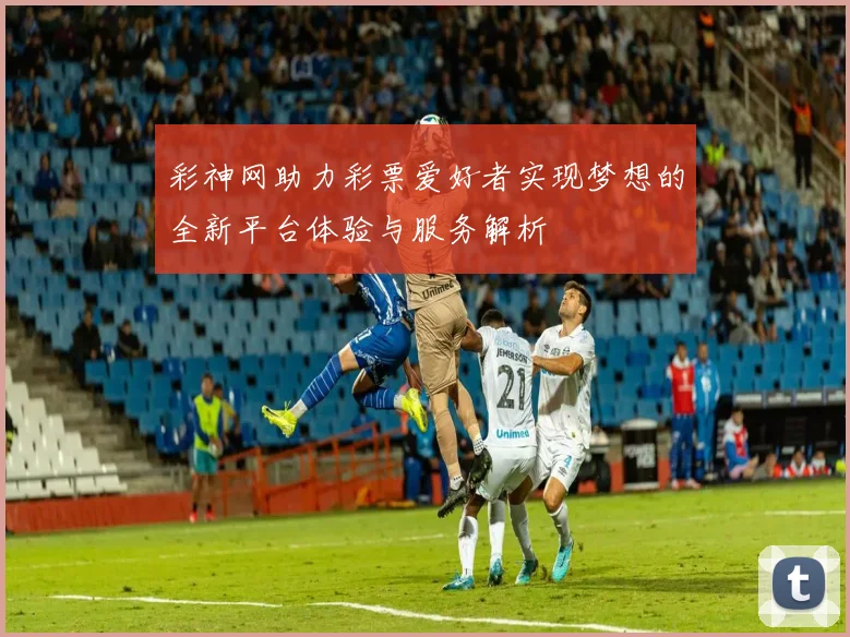 彩神网助力彩票爱好者实现梦想的全新平台体验与服务解析