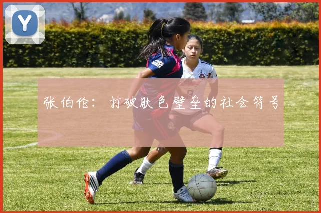 张伯伦：打破肤色壁垒的社会符号